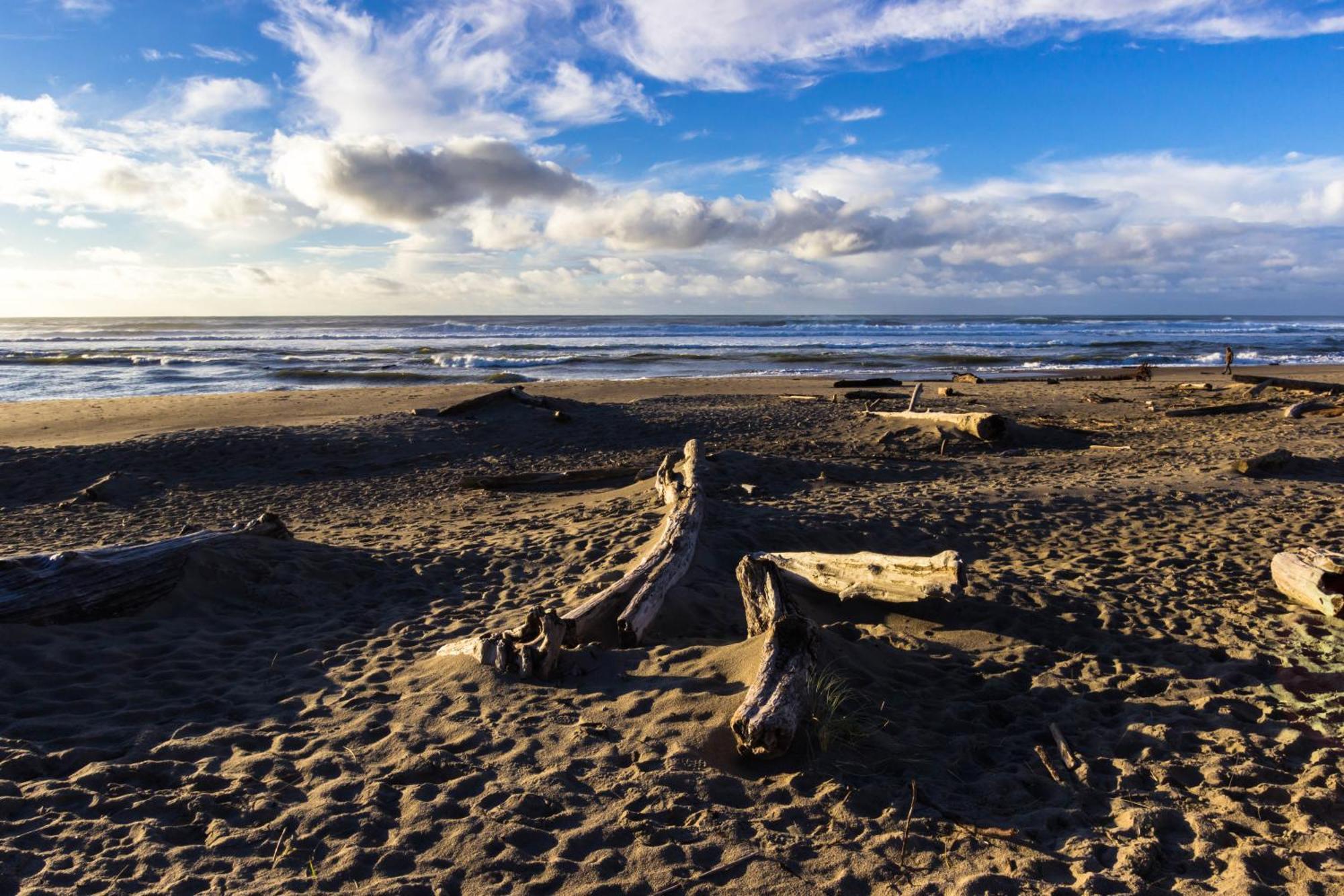 The Whale At Sandstone Point Apartment Lincoln City Room photo